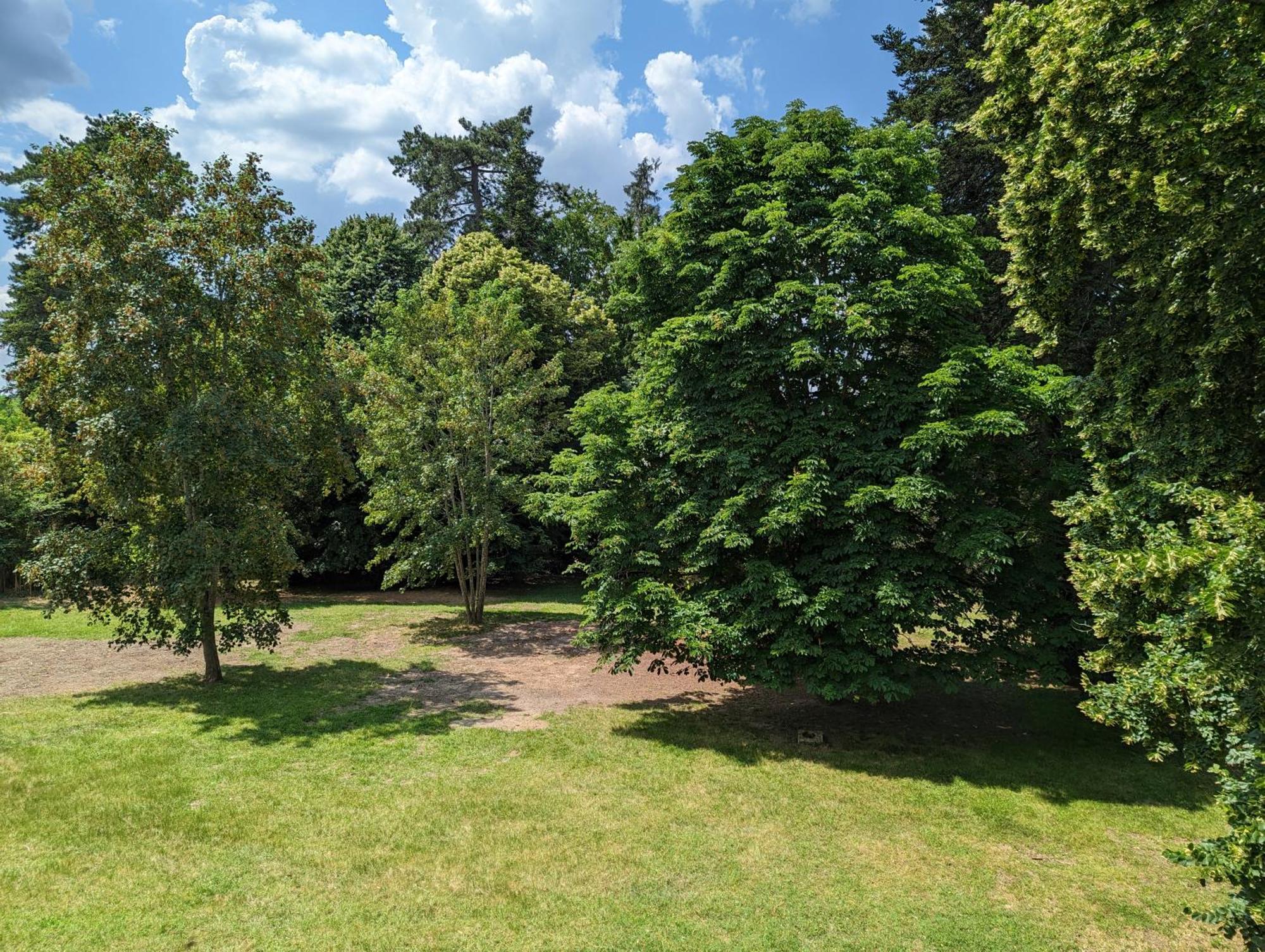 Domaine Du Faure Bed & Breakfast Chadurie Dış mekan fotoğraf