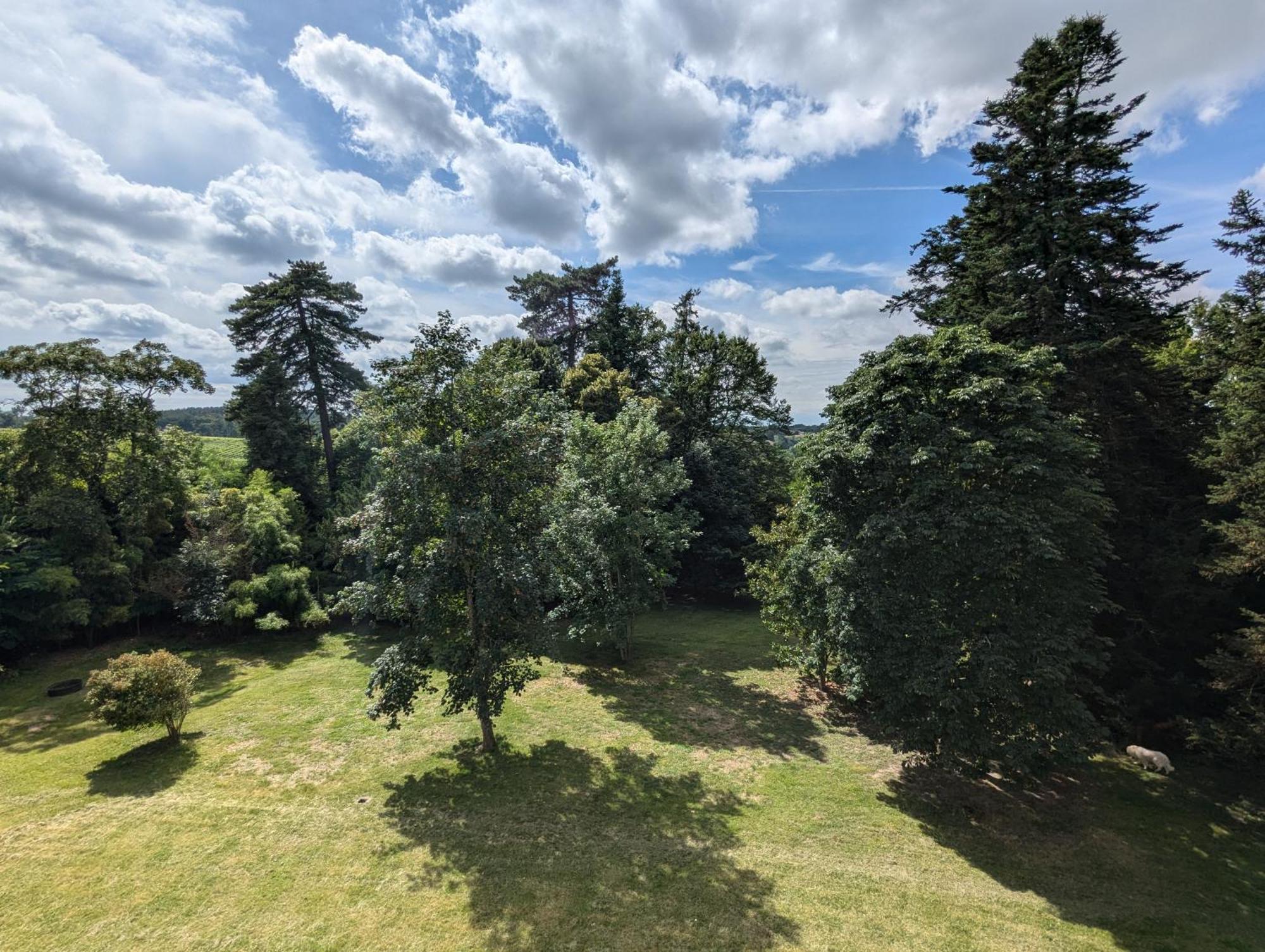 Domaine Du Faure Bed & Breakfast Chadurie Dış mekan fotoğraf